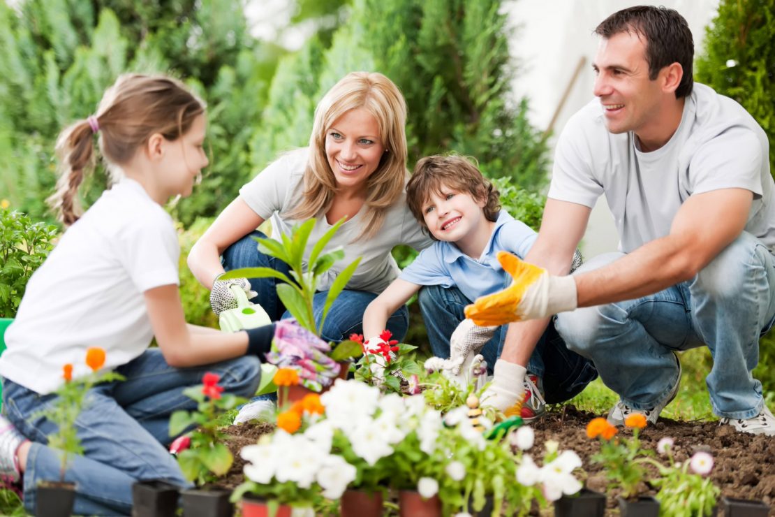 Summer Time Gardening in fron of ann arbor apartment