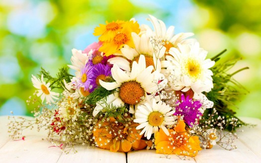 Some are Enchanted Summer Flowers