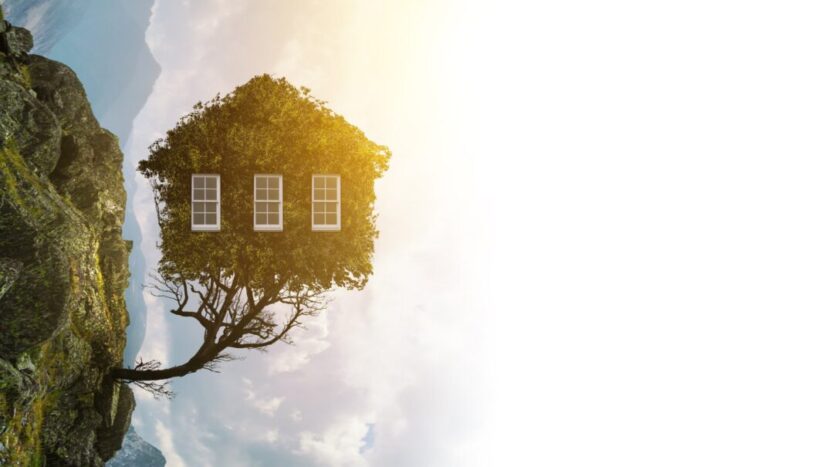 mistakes committed by renters- Ann Arbor Apartments managed by CMB