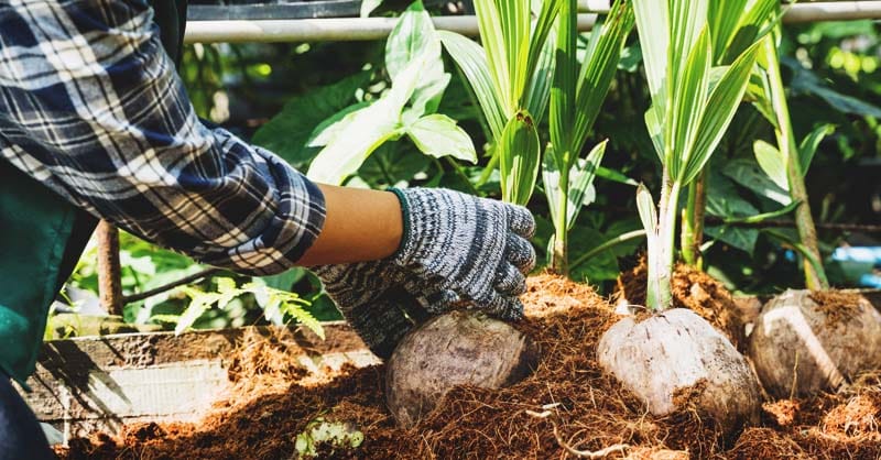 Build Homesteading Skills in Your Apartment- Ann Arbor Apartments managed by CMB