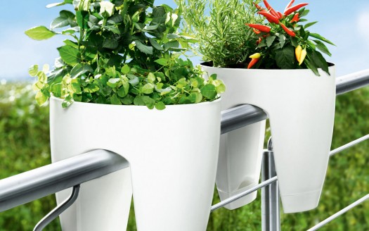 Grow Vegetables in an Apartment downtown ann arbor