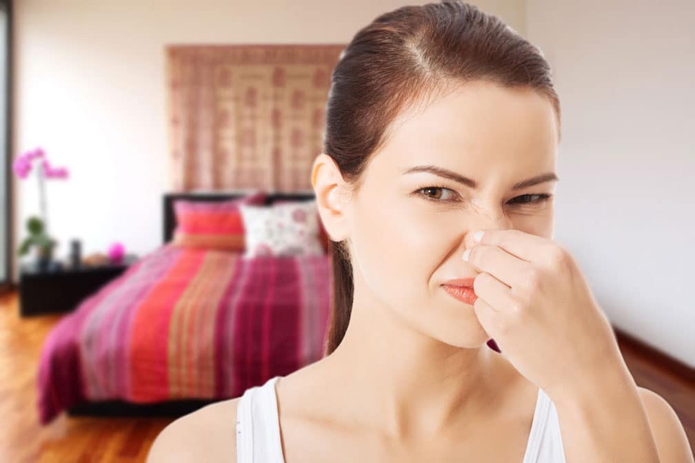 How to Eliminate Foul Apartment Odors- Ann Arbor Apartments managed by CMB Mi
