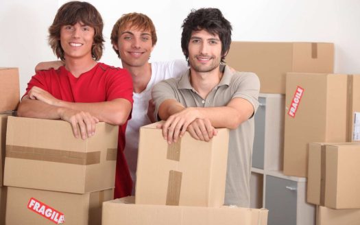Surviving the Move: Essential Packing Tips for Student Apartment Renters