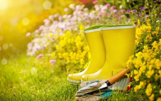 Spring Cleaning Naturally for your Apartment Ann Arbor