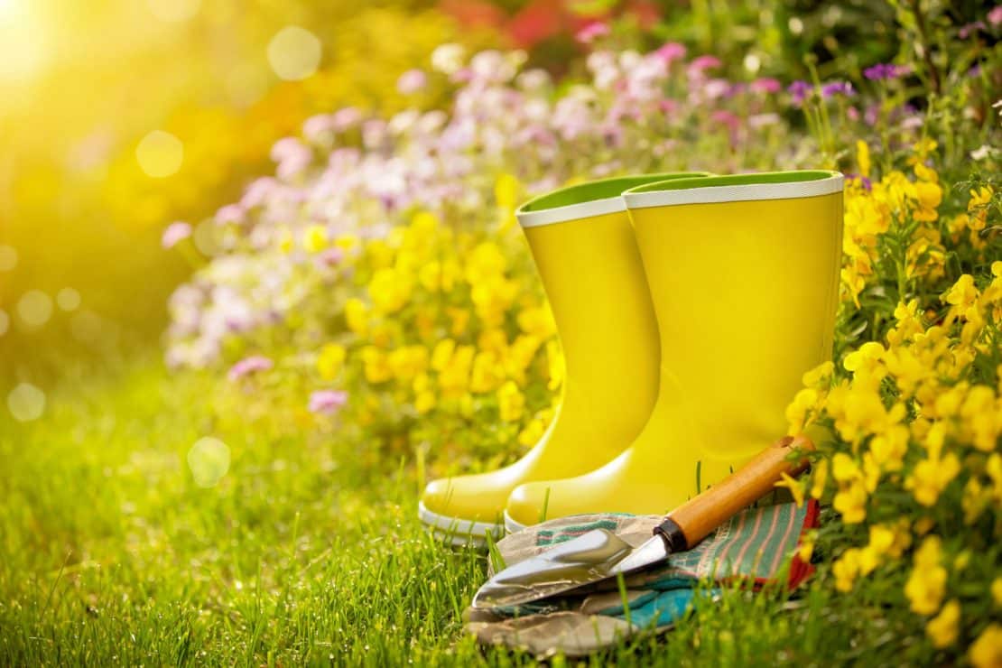 Spring Cleaning Naturally for your Apartment Ann Arbor