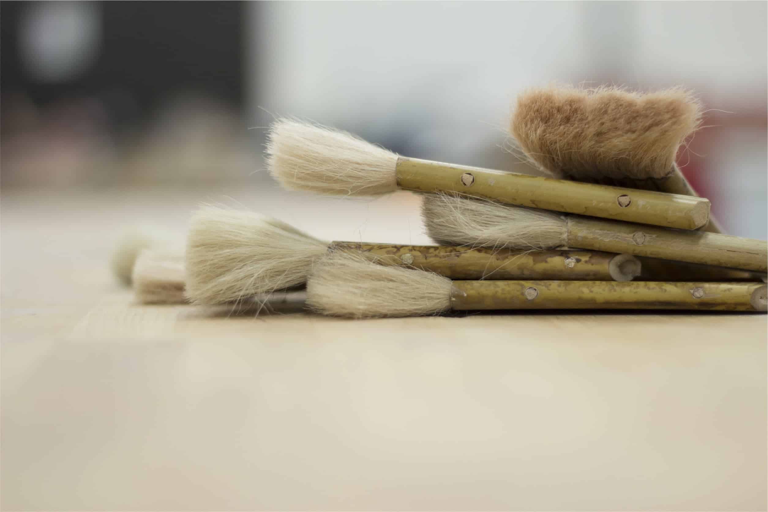 Can I Paint the Walls in My Apartment- Ann Arbor Apartments managed by CMB