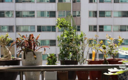 What should you expect on renting a cheap apartment?- Ann Arbor Apartments managed by CMB