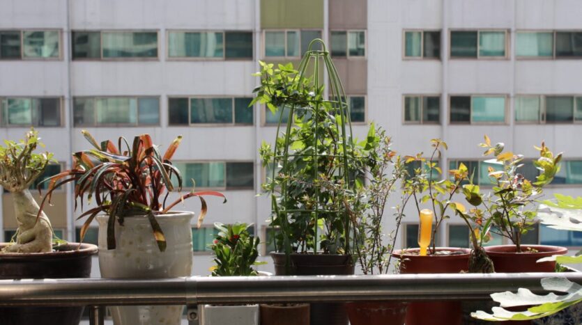 What should you expect on renting a cheap apartment?- Ann Arbor Apartments managed by CMB