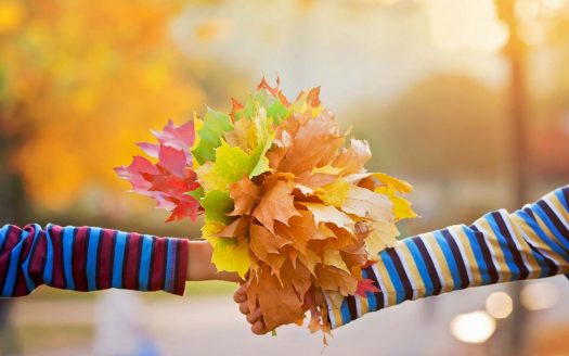 Spring Activities for Apartment Ann apartments in ann arbor
