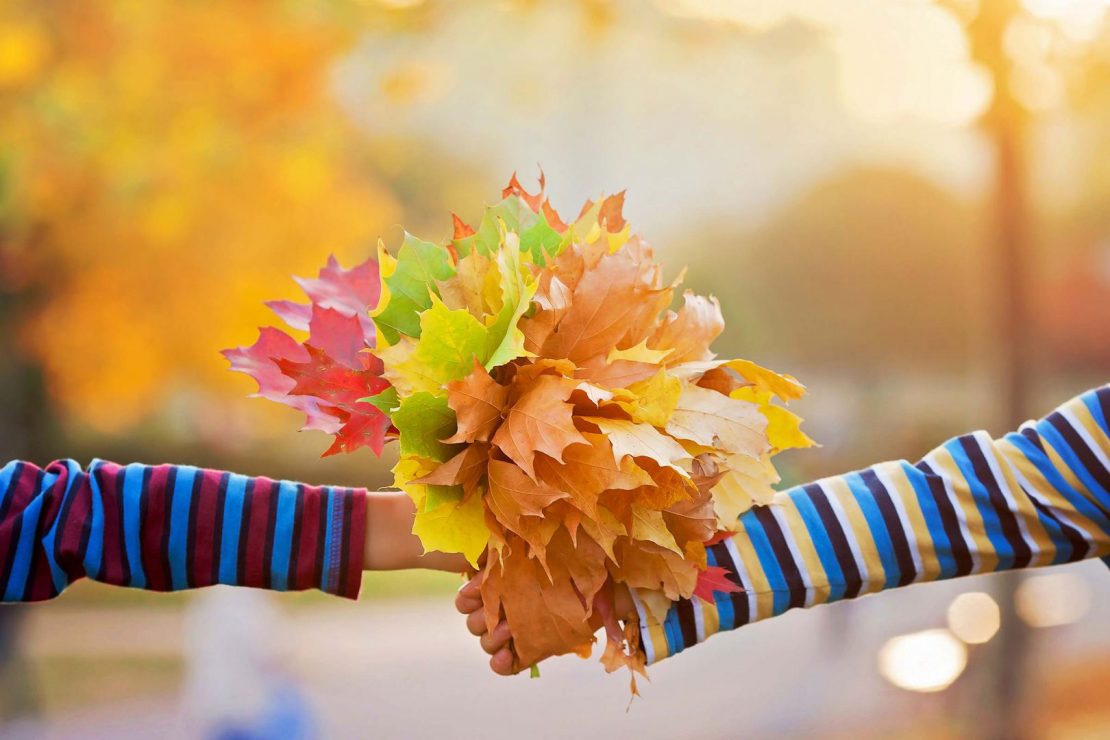 Spring Activities for Apartment Ann apartments in ann arbor