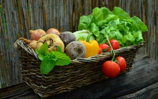 How to Start a Garden in Your Apartment- Ann Arbor Apartments managed by CMB
