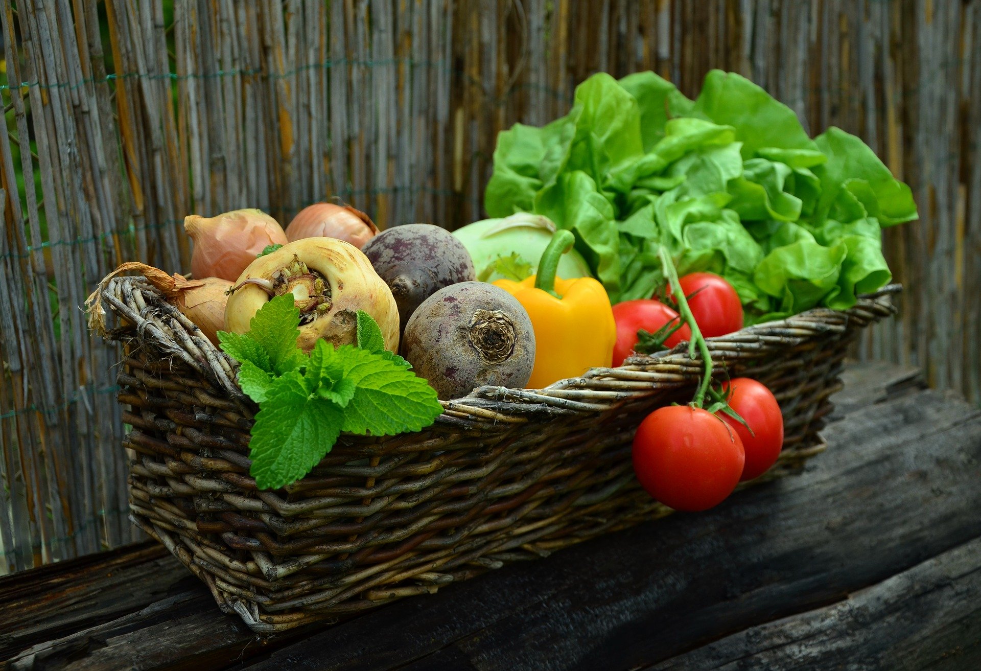 How to Start a Garden in Your Apartment- Ann Arbor Apartments managed by CMB